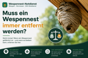 Wespennest unter Dach