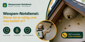 Wann ist er nötig und was kostet er