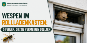 5 Fehler, die Sie vermeiden sollten